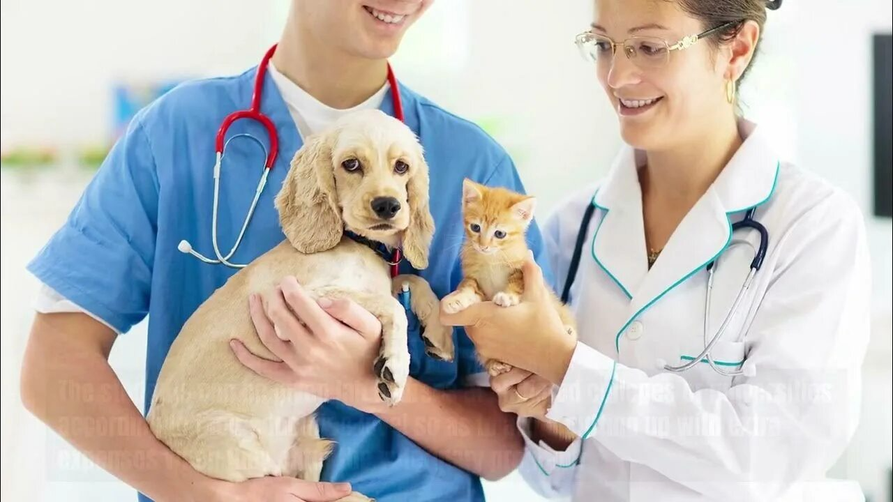 Описание картинки