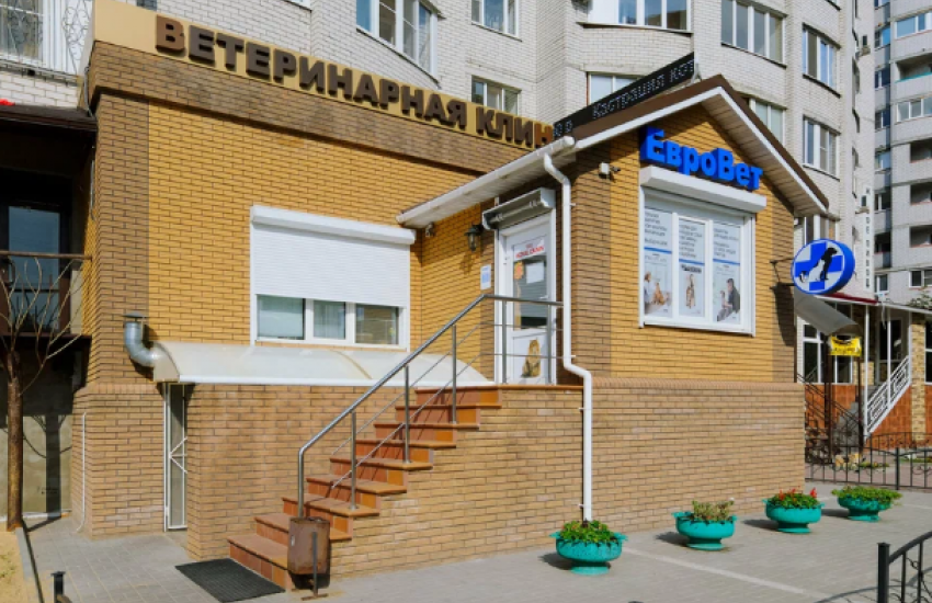 Ветеринарная клиника «ЕвроВет»