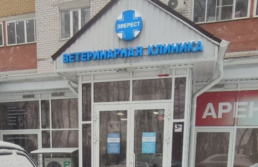 Эверест