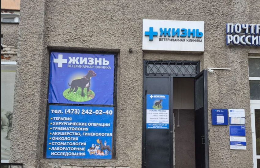 Ветеринарная клиника «Жизнь»