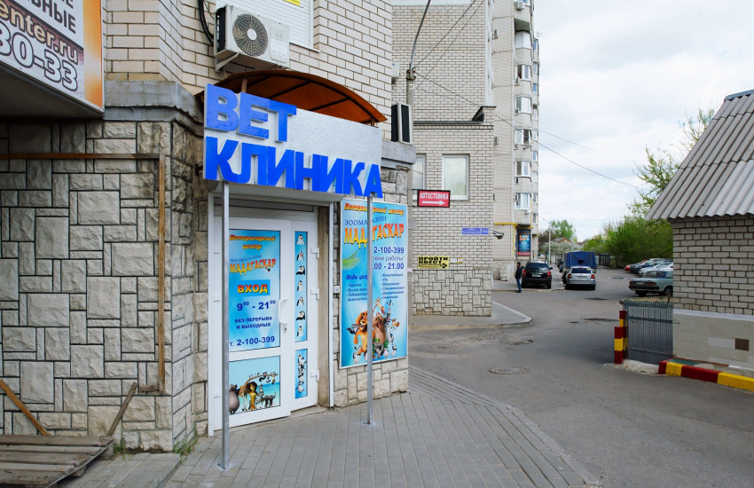 Ветеринарная клиника «Мадагаскар»