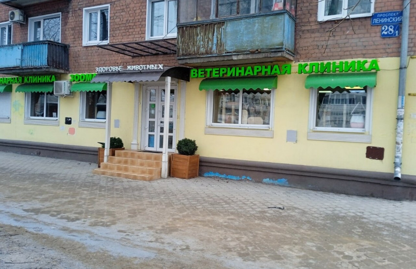 Ветеринарная клиника «Здоровье Животных»