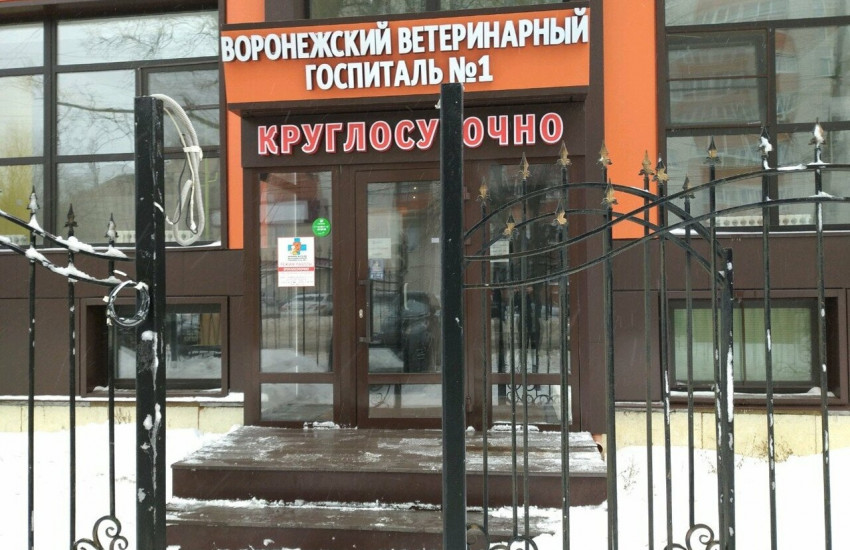 Воронежский ветеринарный госпиталь № 1