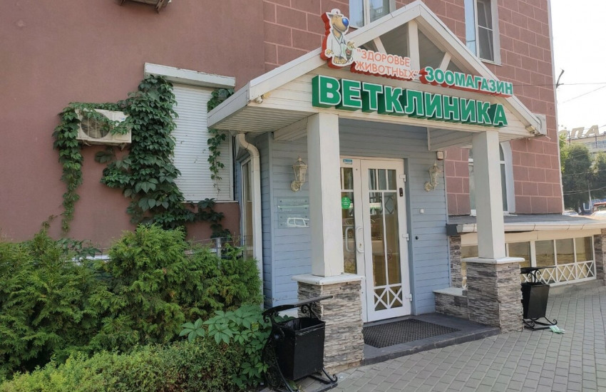 Ветеринарная клиника «Здоровье Животных»