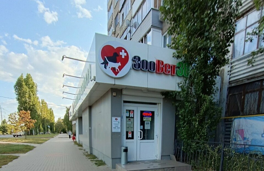 Ветеринарная клиника «ЗООВЕТ36» на Героев Сибиряков