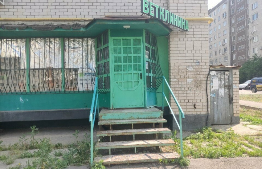 Ветеринарная клиника Тепличный
