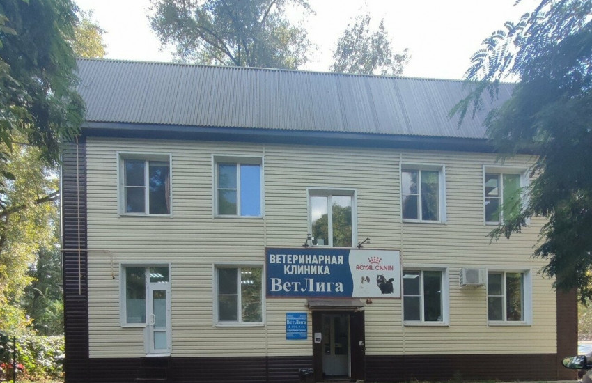 Ветеринарная клиника «ВетЛига»
