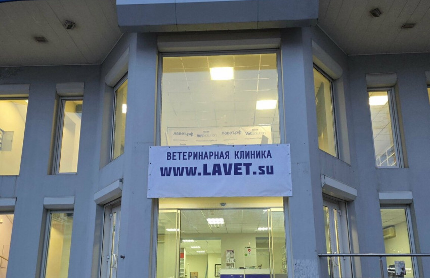 Ветеринарная клиника «Lavet»
