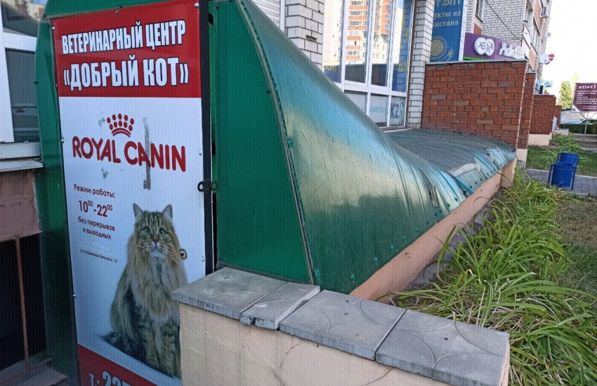 Ветеринарная клиника «Добрый кот»