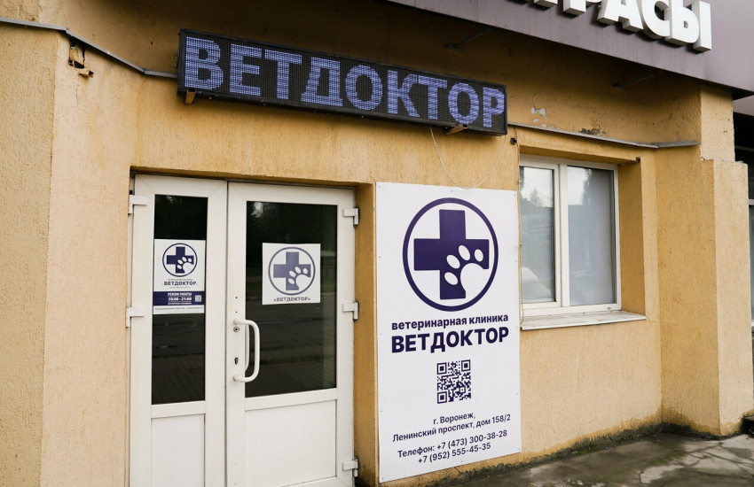 Ветеринарная клиника «Ветдоктор»