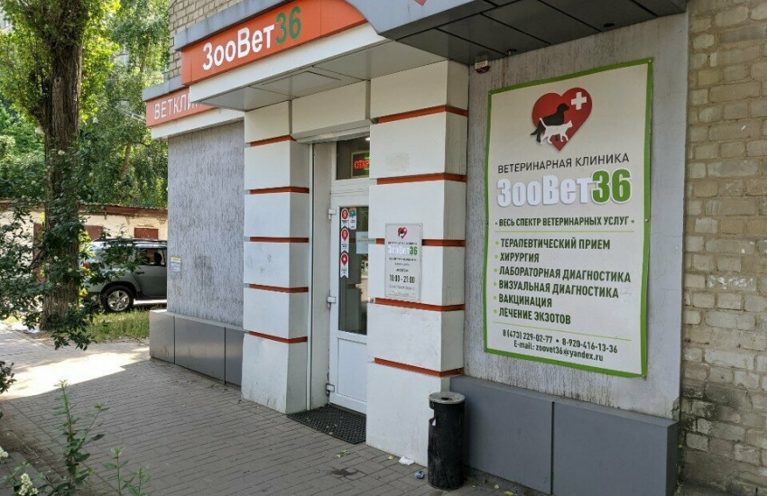 Ветеринарная клиника «ЗООВЕТ36» на Карла Либкнехта