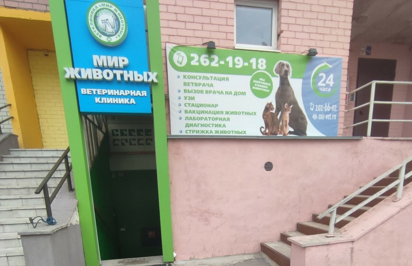 Ветеринарная клиника «Мир животных» на Ломоносова