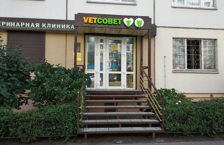 Ветеринарная клиника «Vetсовет»