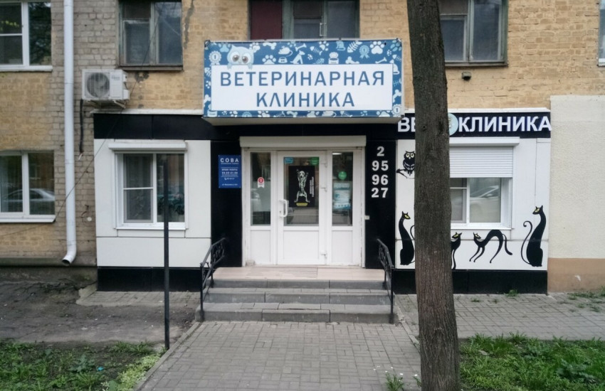 Ветеринарная клиника «Сова»
