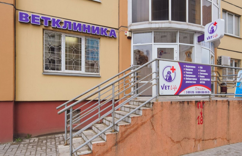 Ветеринарная клиника «Ветлайф»