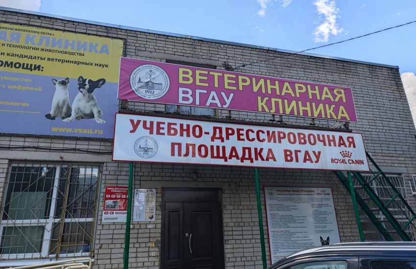 Ветеринарная клиника "Зооветцентр ВГАУ"