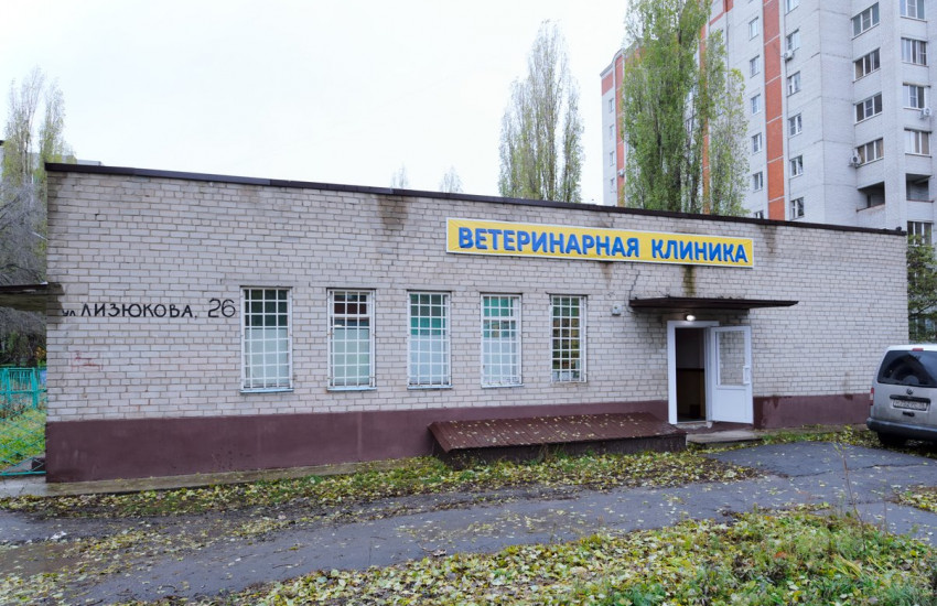 Ветеринарная клиника «ДокторВет» на Лизюкова