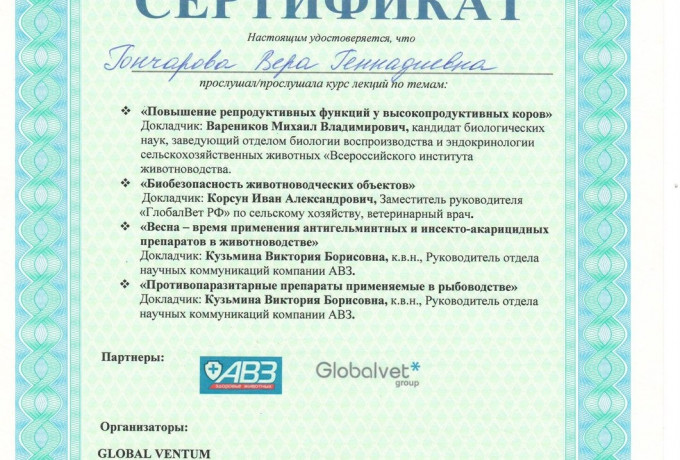Галкина Вера Геннадьевна