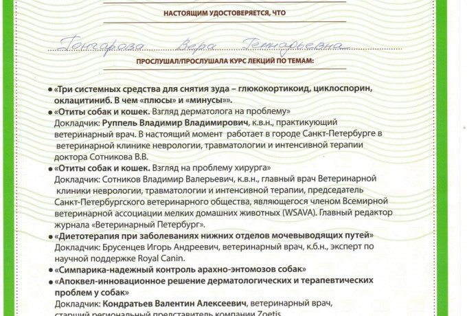 Галкина Вера Геннадьевна