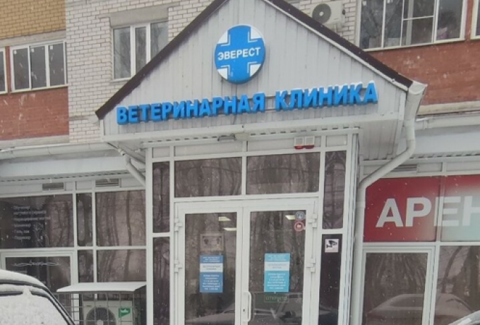 Эверест