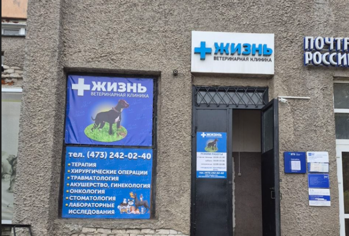 Ветеринарная клиника «Жизнь»