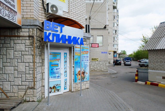 Ветеринарная клиника «Мадагаскар»
