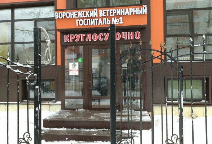 Воронежский ветеринарный госпиталь № 1