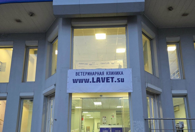 Ветеринарная клиника «Lavet»