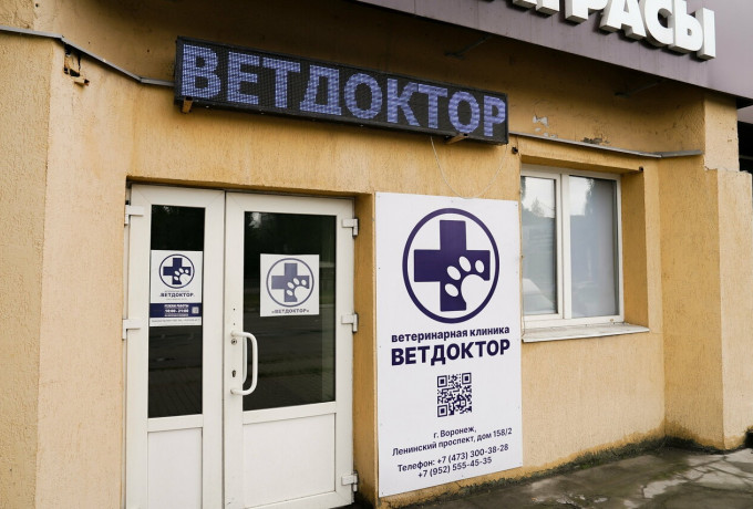 Ветеринарная клиника «Ветдоктор»