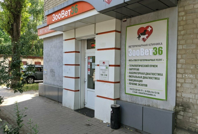 Ветеринарная клиника «ЗООВЕТ36» на Карла Либкнехта