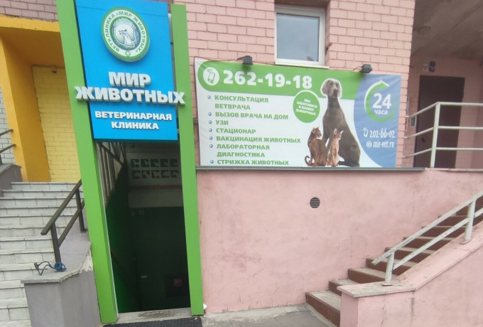 Ветеринарная клиника «Мир животных» на Ломоносова