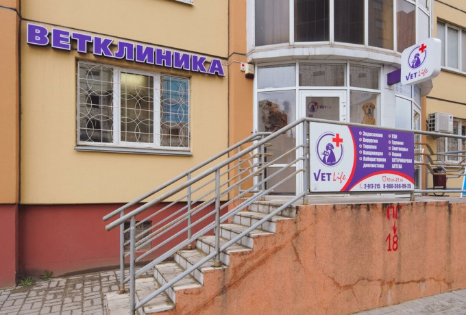 Ветеринарная клиника «Ветлайф»
