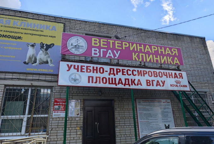 Ветеринарная клиника "Зооветцентр ВГАУ"