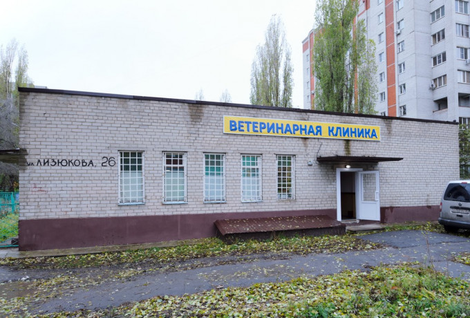 Ветеринарная клиника «ДокторВет» на Лизюкова